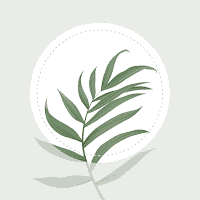 com.conceptivapps.blossom